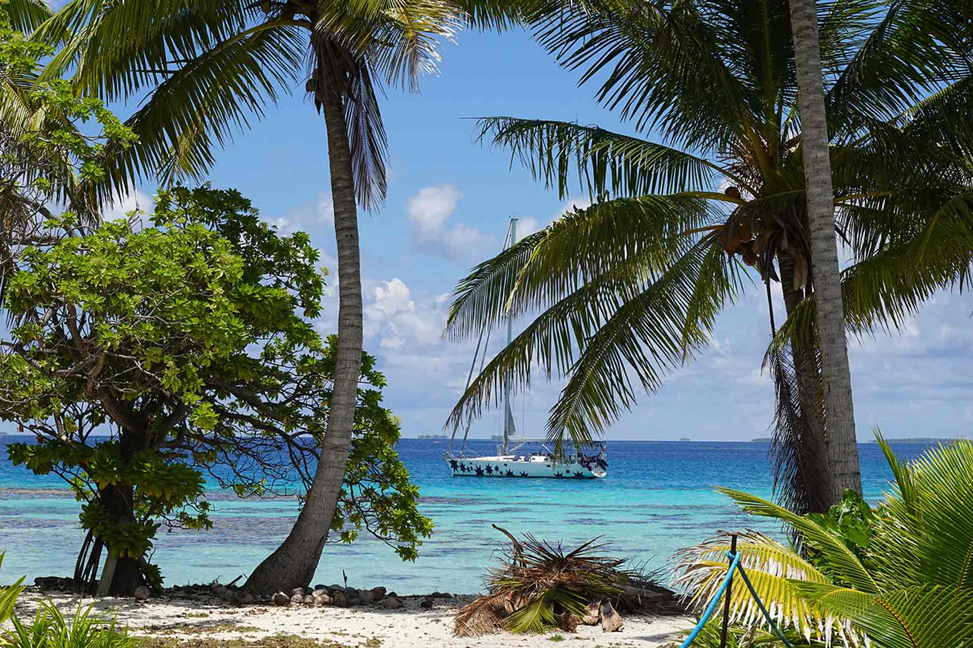 altamarea_fiji